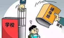 信丰学生爆料谣言案件视频,视频揭露真相与网络谣言的较量